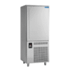 blue star blast freezer bf10g 10 pan g series automatic defrost chiller 10 gn capacity (bf 10 g 10 pan)